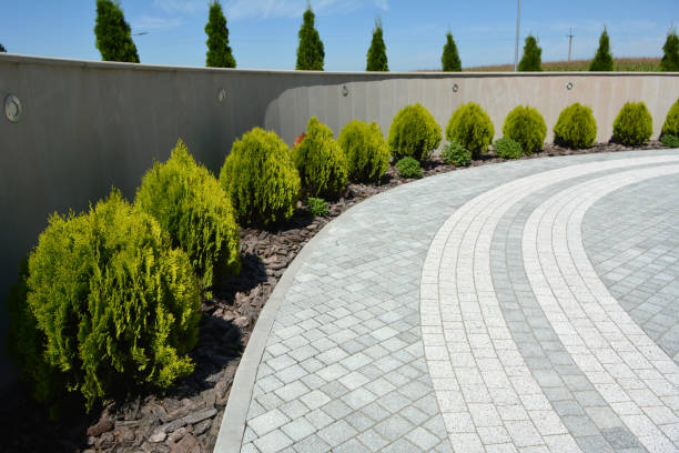 Best Residential Paver Driveway  in Plainwell, MI